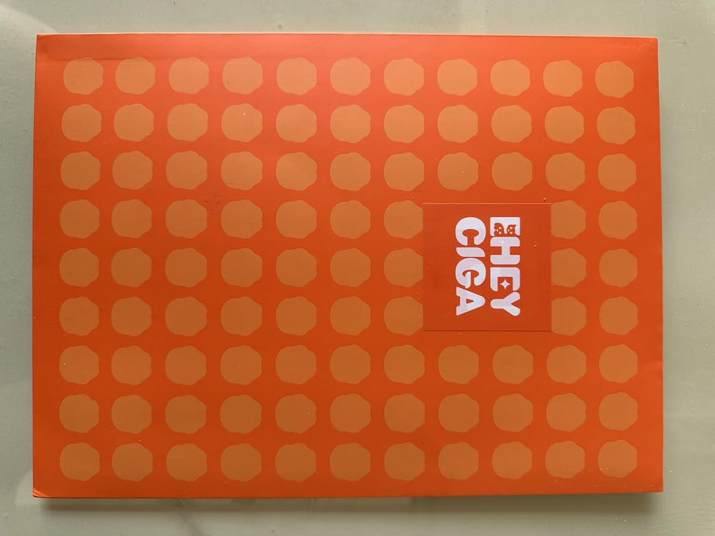 Satin Pillowcase Queen Set of 2, Soft Pillowcases for Hair and Skin Similar to Silk, White Pillow Cases 2 Pack with Envelope Closure, 20X30 Inches