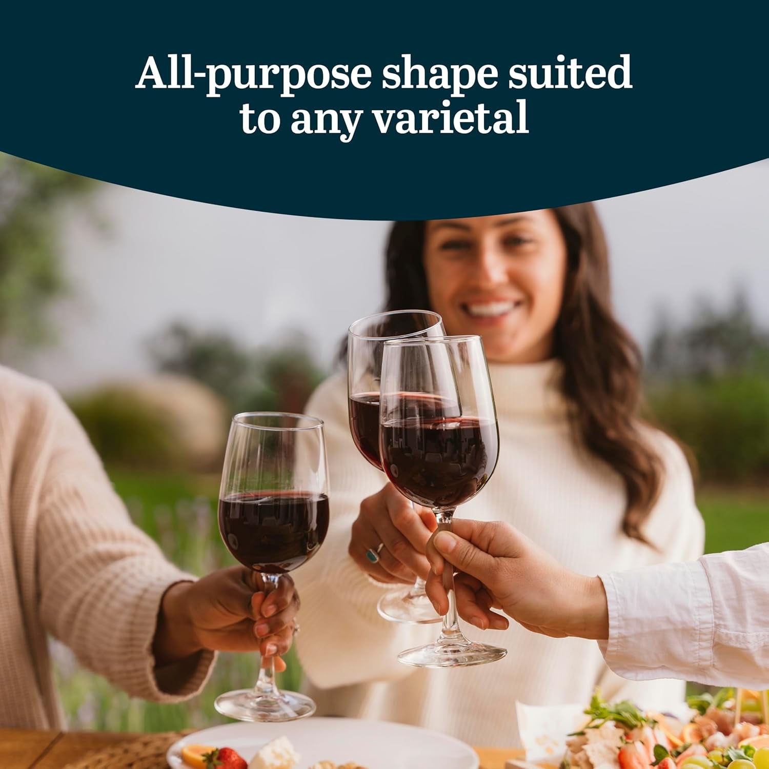 Vina Tall Wine Glasses Set, All Purpose Red and White Wine Glasses Set of 12, Professional Grade Glass Wine Glasses for Gatherings, Events