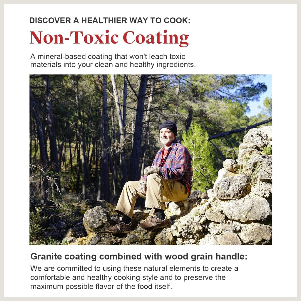 Nonstick Granite Frying Pan Skillet, Non Stick Omelette Fry Pans, Omelet Egg Pan, Stone Cookware Chef'S Pan, Induction Compatible, PFOA Free (Gray, 9.5 Inch with Lid)