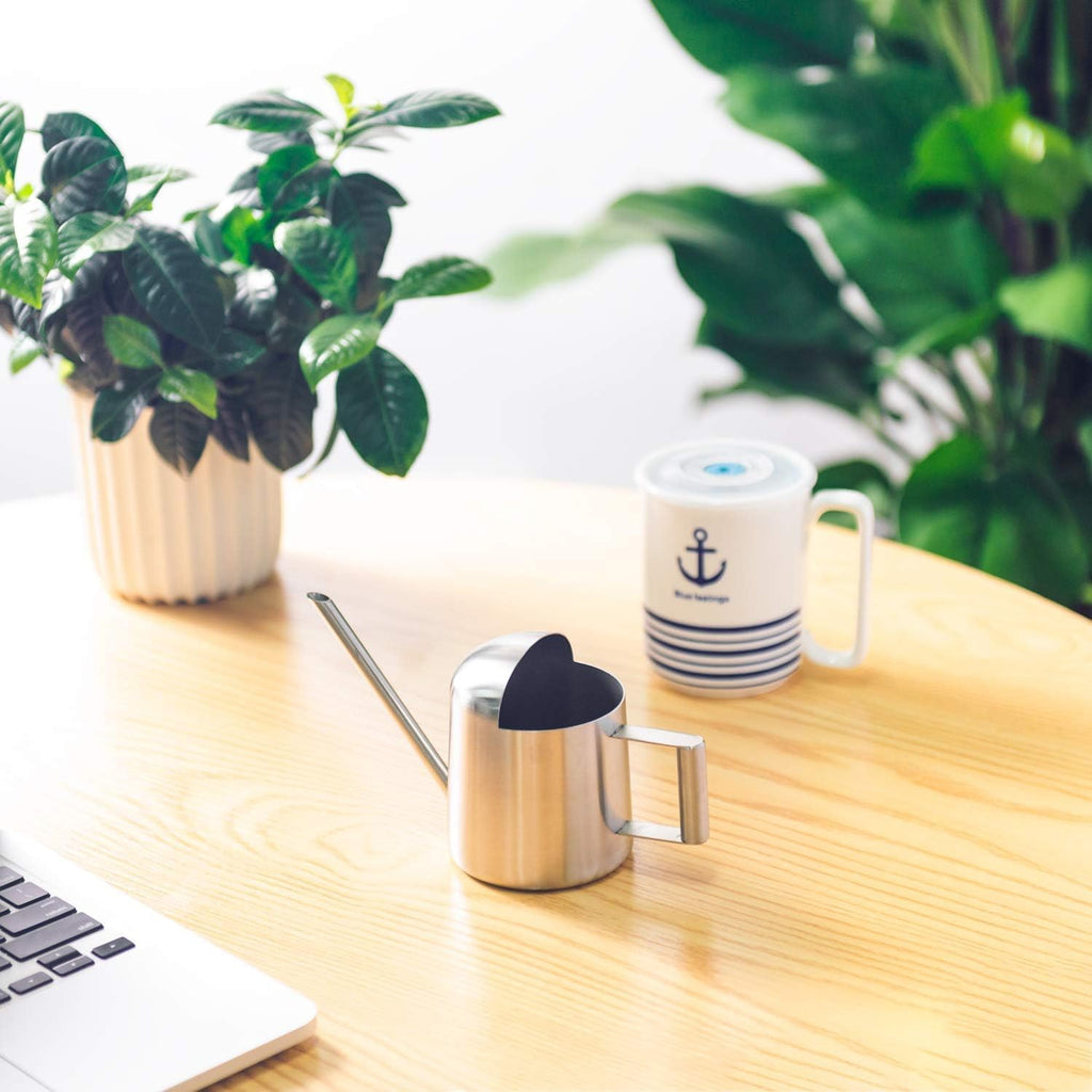 Tiny Watering Can for Indoor Plants Bonsai Tree Stainless Steel Small Watering Can Succulents, 11Oz/300Ml